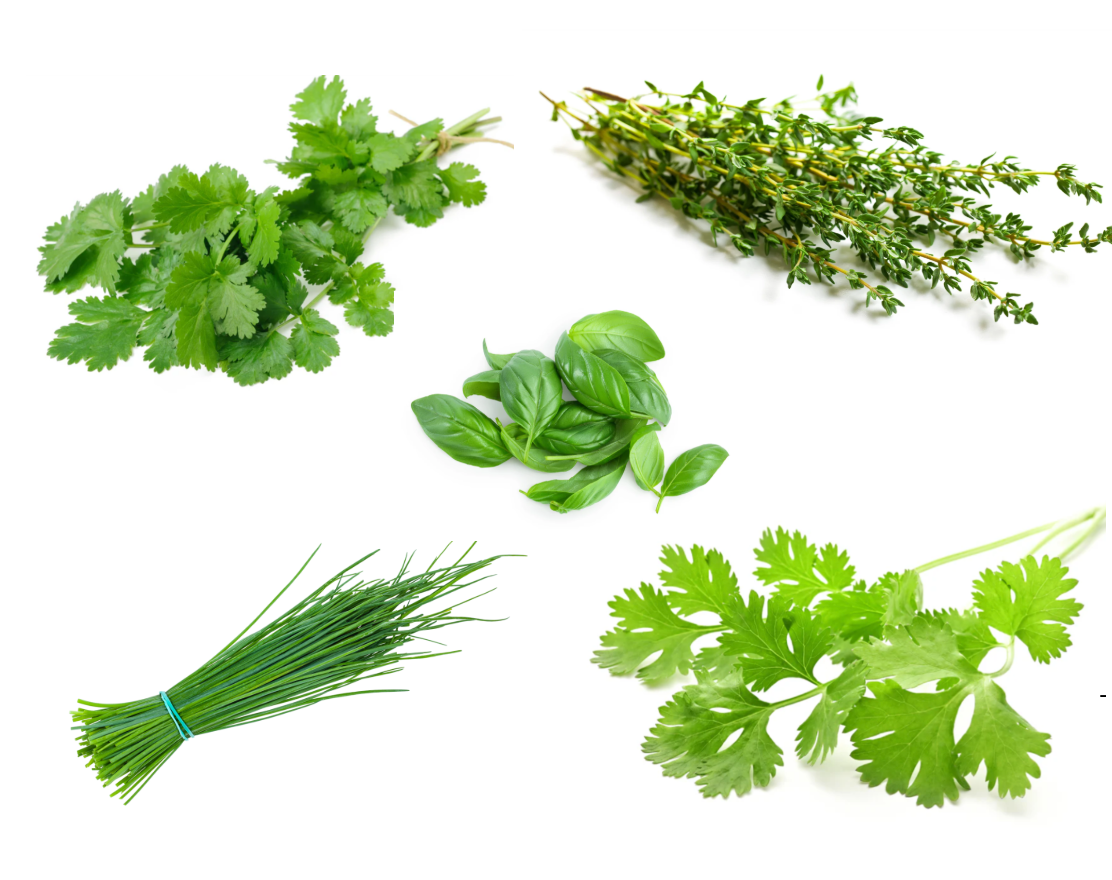 West Kent 12 Pod Smart Garden Essential