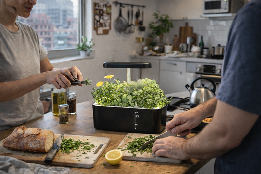 5 Pod Smart Garden Mini