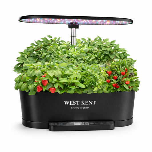 15 Pod Smart Garden Pro