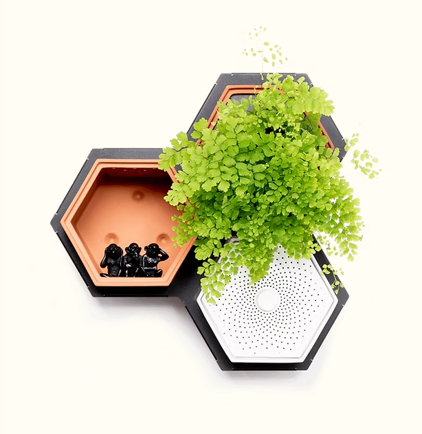 Horticus Mini Living Wall Kit