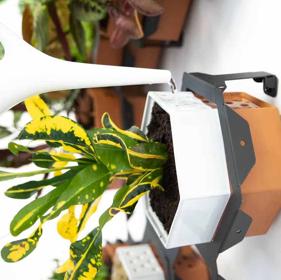 Horticus Medium Living Wall Kit