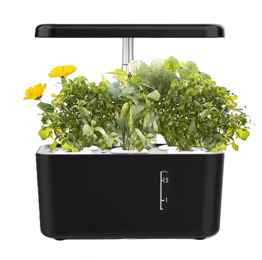 5 Pod Smart Garden Mini